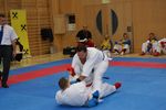 Karate Austrian Open 3140137