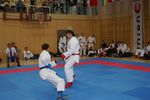 Karate Austrian Open 3140139