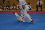 Karate Austrian Open 3140140