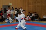 Karate Austrian Open 3140143