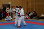 Karate Austrian Open 3140147