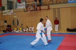 Karate Austrian Open 3140148