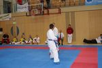 Karate Austrian Open 3140149