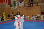 Karate Austrian Open 3140151