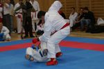 Karate Austrian Open 3140152