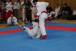 Karate Austrian Open 3140153