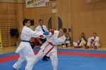 Karate Austrian Open 3140154