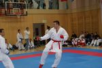 Karate Austrian Open 3140156