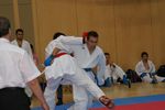 Karate Austrian Open 3140157