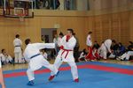 Karate Austrian Open 3140162