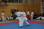 Karate Austrian Open 3140163