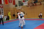 Karate Austrian Open 3140169