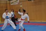 Karate Austrian Open 3140171