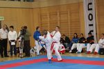 Karate Austrian Open 3140174