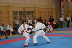 Karate Austrian Open 3140183