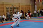 Karate Austrian Open 3140184