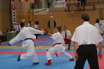 Karate Austrian Open 3140185