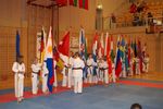 Karate Austrian Open 3140192