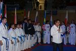 Karate Austrian Open 3140199