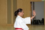 Karate Austrian Open 3140236