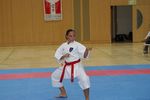 Karate Austrian Open 3140238