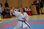 Karate Austrian Open 3140244