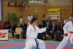 Karate Austrian Open 3140248