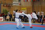 Karate Austrian Open 3140249