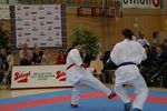 Karate Austrian Open 3140253