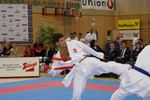 Karate Austrian Open 3140256