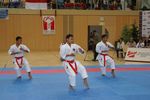 Karate Austrian Open 3140258