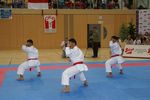 Karate Austrian Open 3140260