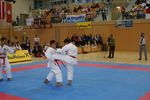 Karate Austrian Open 3140267