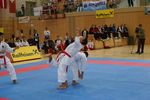 Karate Austrian Open 3140270