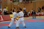 Karate Austrian Open 3140271