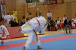 Karate Austrian Open 3140273