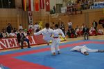 Karate Austrian Open 3140275