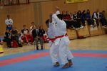 Karate Austrian Open 3140277