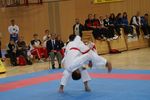 Karate Austrian Open 3140278