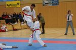 Karate Austrian Open 3140279