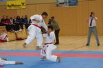 Karate Austrian Open 3140280