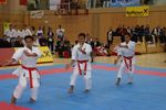 Karate Austrian Open 3140281