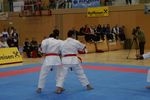 Karate Austrian Open 3140282