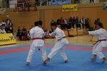 Karate Austrian Open 3140283