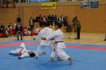 Karate Austrian Open 3140287