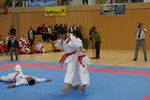 Karate Austrian Open 3140289