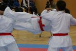 Karate Austrian Open 3140292