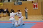 Karate Austrian Open 3140294