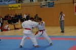 Karate Austrian Open 3140295