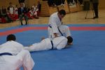 Karate Austrian Open 3140311